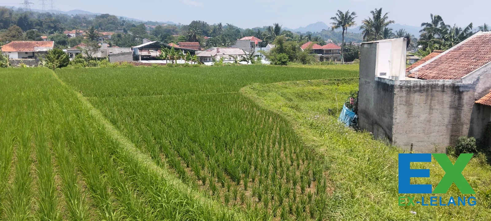 Tanah Sawah Aktif Di Area Banjaran Dengan Luas 1.330 m² Kab Bandung